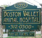 Boston Valley Animal Hospital